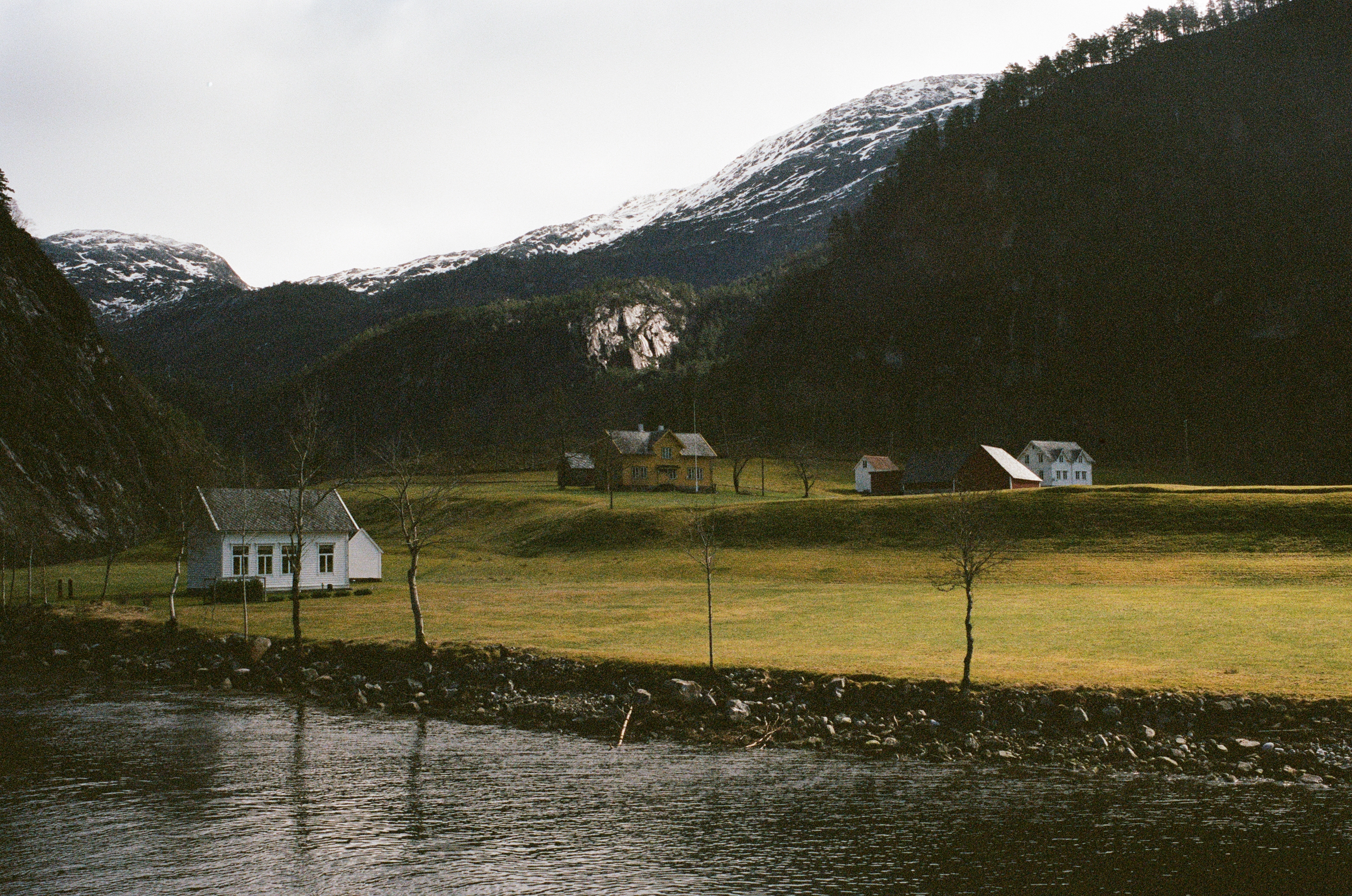 film image